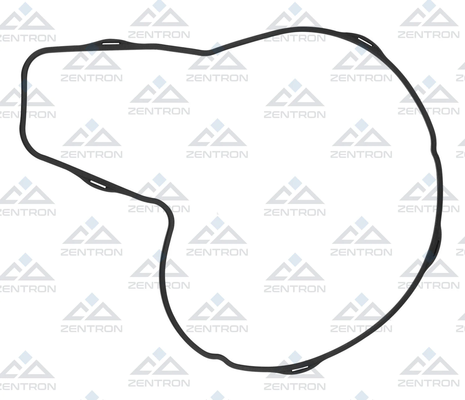 Water Pump Gasket